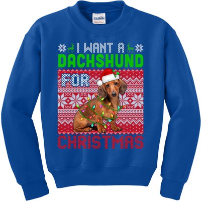 I Want A Dachshund For Christmas Santa Dog Lover Owner Cool Gift Kids Sweatshirt