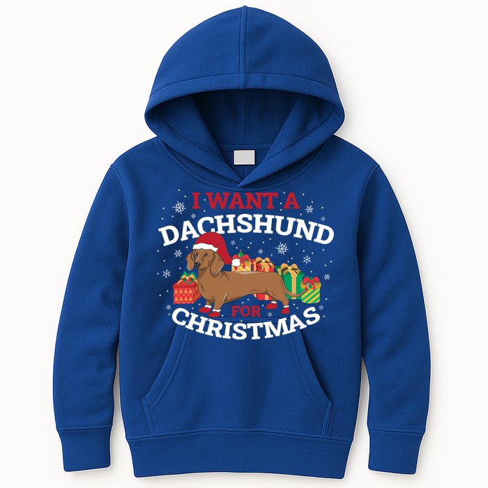 I Want A Dachshund For Christmas Funny Gift Kids Hoodie