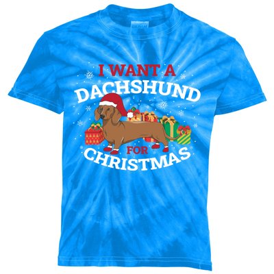 I Want A Dachshund For Christmas Funny Gift Kids Tie-Dye T-Shirt