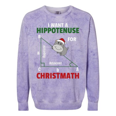 I Want A Hippotenuse For Christmas Cute Hippos Colorblast Crewneck Sweatshirt