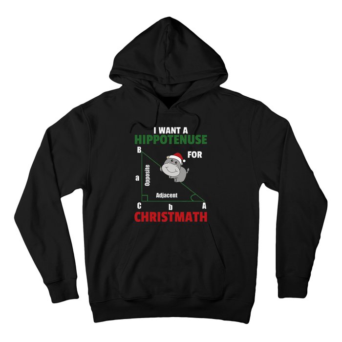 I Want A Hippotenuse For Christmas Cute Hippos Hoodie