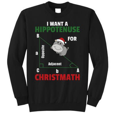 I Want A Hippotenuse For Christmas Cute Hippos Sweatshirt