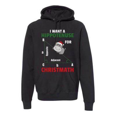 I Want A Hippotenuse For Christmas Cute Hippos Premium Hoodie