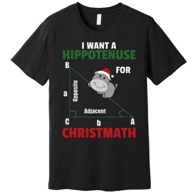 I Want A Hippotenuse For Christmas Cute Hippos Premium T-Shirt