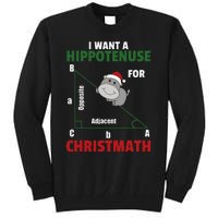 I Want A Hippotenuse For Christmas Cute Hippos Tall Sweatshirt