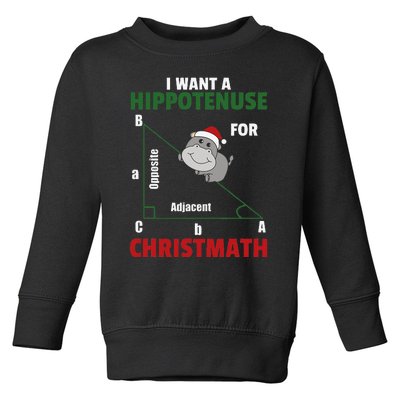 I Want A Hippotenuse For Christmas Cute Hippos Toddler Sweatshirt