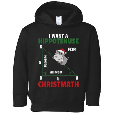 I Want A Hippotenuse For Christmas Cute Hippos Toddler Hoodie