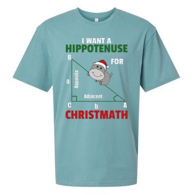 I Want A Hippotenuse For Christmas Cute Hippos Sueded Cloud Jersey T-Shirt