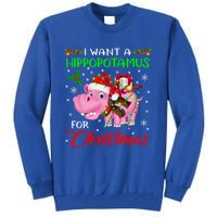 I Want A Hippopotamus For Christmas Xmas Lights Santa Hippo Cool Gift Tall Sweatshirt