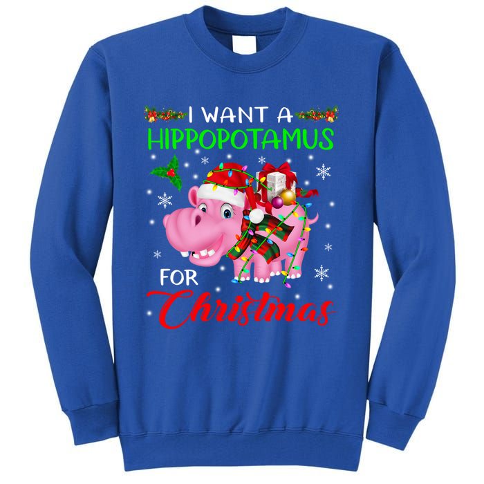 I Want A Hippopotamus For Christmas Xmas Lights Santa Hippo Cool Gift Tall Sweatshirt