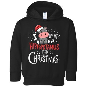 I Want A Hippopotamus For Christmas Funny Cute Toddler Hoodie