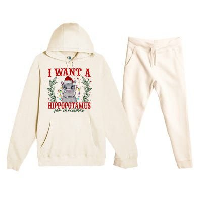 I Want A Hippopotamus For Christmas Xmas Hippo Lover Premium Hooded Sweatsuit Set