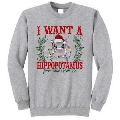 I Want A Hippopotamus For Christmas Xmas Hippo Lover Tall Sweatshirt