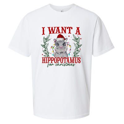 I Want A Hippopotamus For Christmas Xmas Hippo Lover Sueded Cloud Jersey T-Shirt