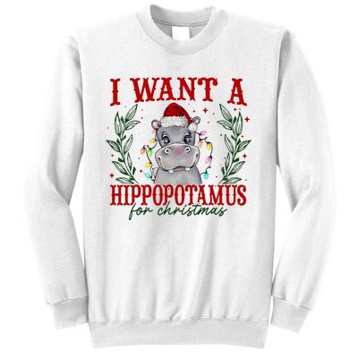 I Want A Hippopotamus For Christmas Xmas Hippo Lover Sweatshirt