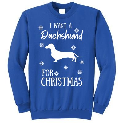 I Want A Dachshund For Christmas Weenie Dog Gift Tall Sweatshirt