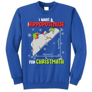 I Want A Hippopotenuse For Christmas Math Lover Sweatshirt