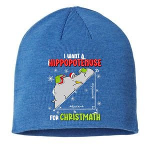 I Want A Hippopotenuse For Christmas Math Lover Sustainable Beanie