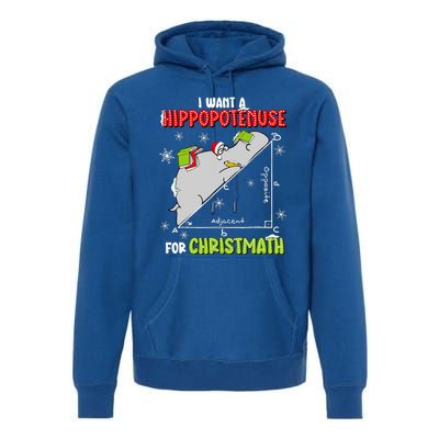 I Want A Hippopotenuse For Christmas Math Lover Premium Hoodie