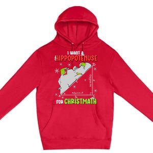 I Want A Hippopotenuse For Christmas Math Lover Premium Pullover Hoodie