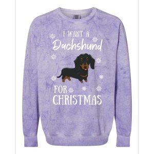 I Want A Dachshund For Christmas Weenie Dog Gift Colorblast Crewneck Sweatshirt