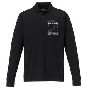 I Want A Dachshund For Christmas Weenie Dog Gift Performance Long Sleeve Polo