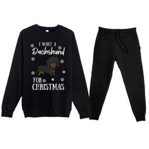 I Want A Dachshund For Christmas Weenie Dog Gift Premium Crewneck Sweatsuit Set