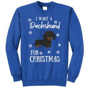 I Want A Dachshund For Christmas Weenie Dog Gift Sweatshirt