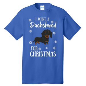 I Want A Dachshund For Christmas Weenie Dog Gift Tall T-Shirt