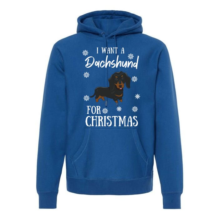 I Want A Dachshund For Christmas Weenie Dog Gift Premium Hoodie