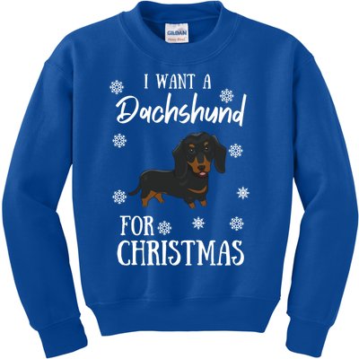 I Want A Dachshund For Christmas Weenie Dog Gift Kids Sweatshirt