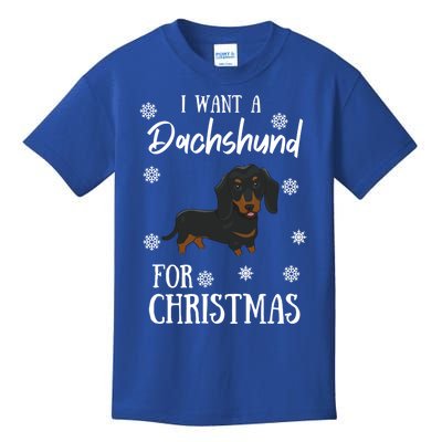 I Want A Dachshund For Christmas Weenie Dog Gift Kids T-Shirt