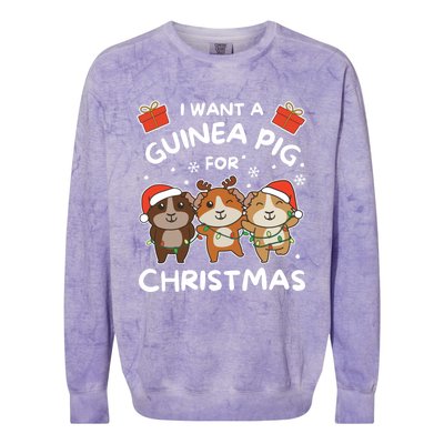 I Want A Guinea Pig For Christmas Cute Animals Gift Colorblast Crewneck Sweatshirt