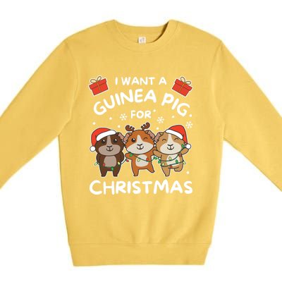 I Want A Guinea Pig For Christmas Cute Animals Gift Premium Crewneck Sweatshirt