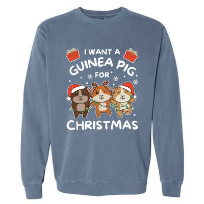 I Want A Guinea Pig For Christmas Cute Animals Gift Garment-Dyed Sweatshirt