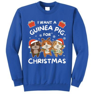 I Want A Guinea Pig For Christmas Cute Animals Gift Sweatshirt