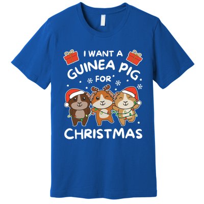 I Want A Guinea Pig For Christmas Cute Animals Gift Premium T-Shirt