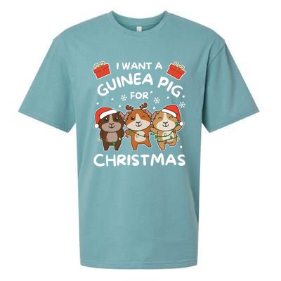 I Want A Guinea Pig For Christmas Cute Animals Gift Sueded Cloud Jersey T-Shirt