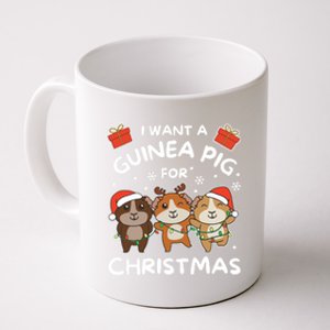 I Want A Guinea Pig For Christmas Cute Animals Gift Coffee Mug