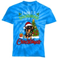 I Want A Dachshund For Christmas Xmas Hippo Cool Gift Kids Tie-Dye T-Shirt