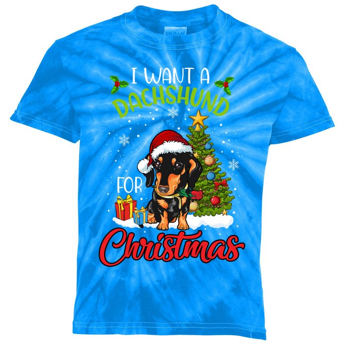 I Want A Dachshund For Christmas Xmas Hippo Cool Gift Kids Tie-Dye T-Shirt