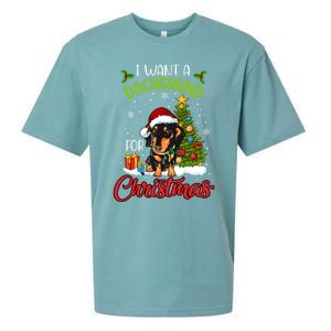 I Want A Dachshund For Christmas Xmas Hippo Cool Gift Sueded Cloud Jersey T-Shirt