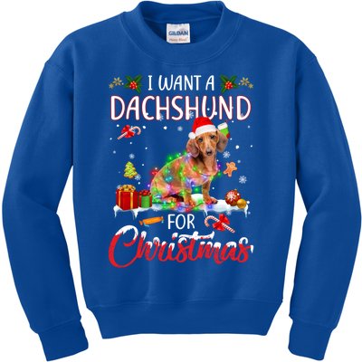 I Want A Dachshund For Christmas Xmas Lights Santa Dachshund Gift Kids Sweatshirt