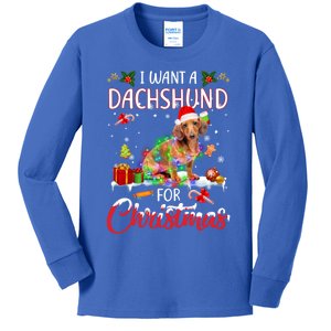 I Want A Dachshund For Christmas Xmas Lights Santa Dachshund Gift Kids Long Sleeve Shirt