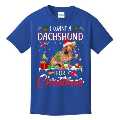 I Want A Dachshund For Christmas Xmas Lights Santa Dachshund Gift Kids T-Shirt