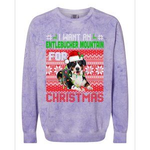 I Want An Entlebucher Mountain For Christmas Santa Dog Lover Cute Gift Colorblast Crewneck Sweatshirt