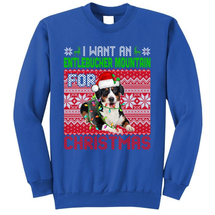 I Want An Entlebucher Mountain For Christmas Santa Dog Lover Cute Gift Tall Sweatshirt