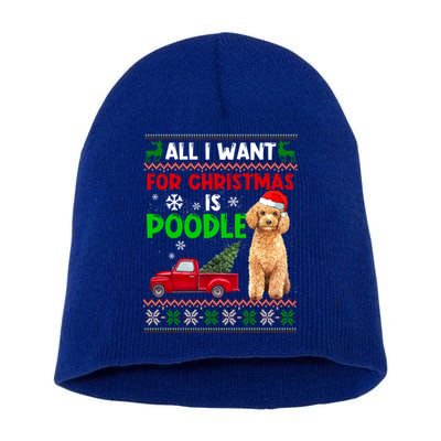 I Want A Poodle For Christmas Ugly Sweater Dog Xmasoutfit Cute Gift Short Acrylic Beanie