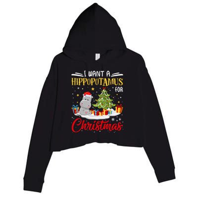 I Want A Hippopotamus For Christmas Xmas Hippo Christmas Gift Crop Fleece Hoodie