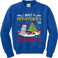 I Want A Hippopotamus For Christmas Xmas Hippo Christmas Gift Kids Sweatshirt